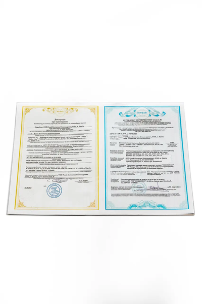 Газовый комплект Golden Lion Rudyy 5 литров RK-5 2.5кВт с горелкой 101151 фото